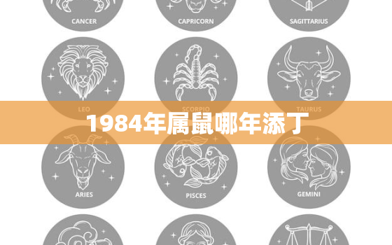 1984年属鼠哪年添丁，属鼠2022年桃花劫遇
爱