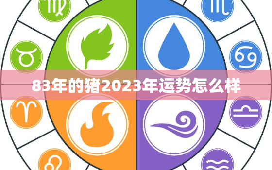 83年的猪2023年运势怎么样，83年属猪40岁有一灾