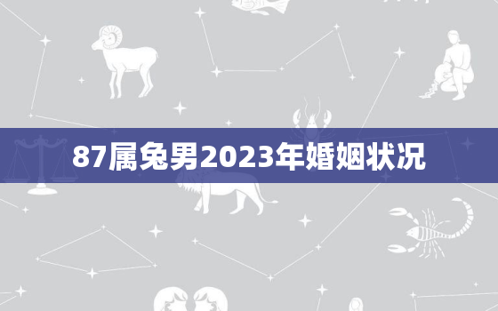 87属兔男2023年婚姻状况，属兔1987年男性2023年