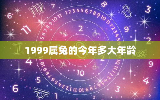 1999属兔的今年多大年龄，1999属兔的今年多大年龄了