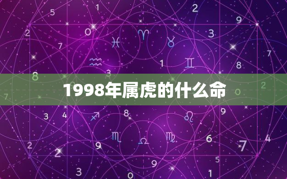 1998年属虎的什么命，1998年属虎的什么命运