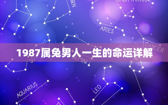 1987属兔男人一生的命运详解，1987属兔男人一生的命运详解图