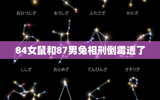 84女鼠和87男兔相刑倒霉透了，84女鼠和87男兔相配婚姻如何