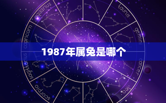 1987年属兔是哪个，1987年属兔哪个时辰出生大富大贵