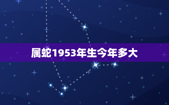 属蛇1953年生今年多大，1953年出生属蛇的今年多大