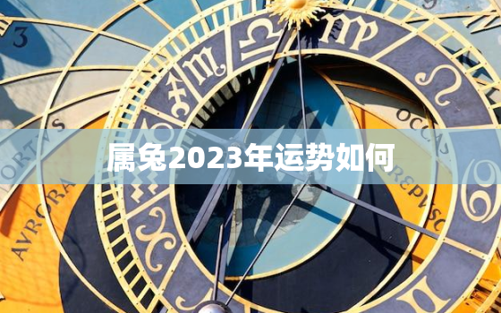 属兔2023年运势如何，87兔2023年本命年运势