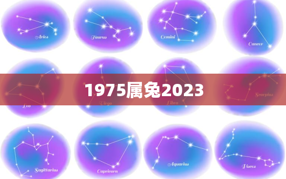 1975属兔2023，1975属兔2023年的运势及运程