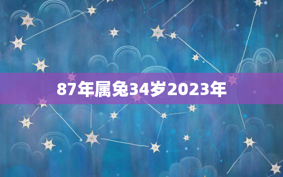 87年属兔34岁2023年，87年属兔的2023年财运怎么样