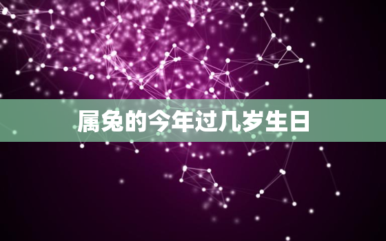 属兔的今年过几岁生日，属兔的今年过生日多大年龄