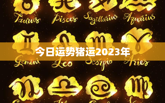 今日运势猪运2023年，二o二生肖猪今天运势