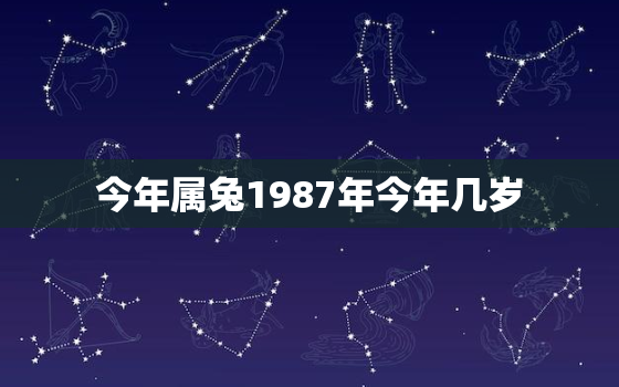 今年属兔1987年今年几岁，1987年属兔今年多大了2021