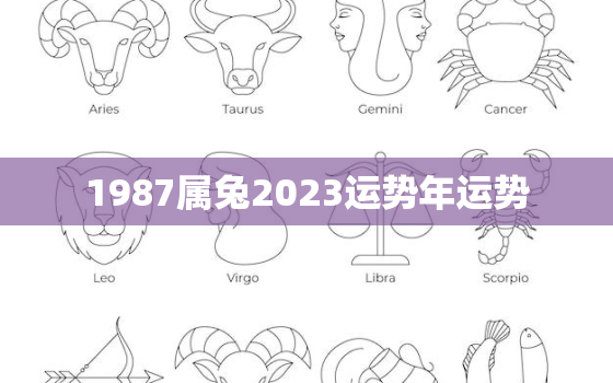 1987属兔2023运势年运势，1987属兔2023年运势及运程每月运程