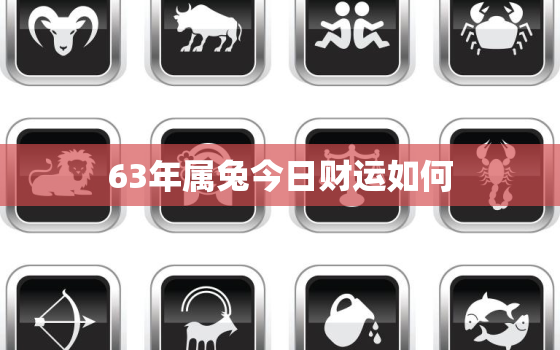 63年属兔今日财运如何，63年兔今天财运在何方位