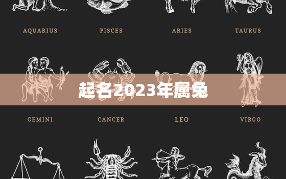 
起名2023年属兔，2023年兔年男孩是什么命