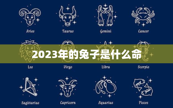 2023年的兔子是什么命，2023年的兔子是什么命运