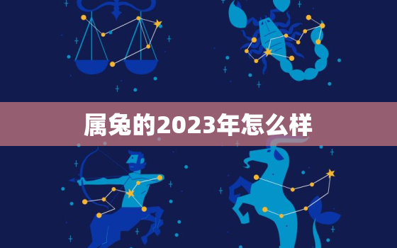 属兔的2023年怎么样，属兔人2023年