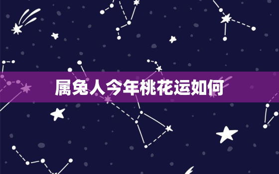 属兔人今年桃花运如何，属兔的人今年桃花运怎么样