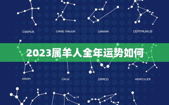 2023属羊人全年运势如何，属羊人2022年全年运势详解