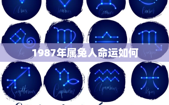 1987年属兔人命运如何，1987年属兔的人命运怎么样