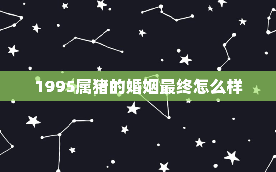 1995属猪的婚姻最终怎么样，1995属猪的婚姻与命运