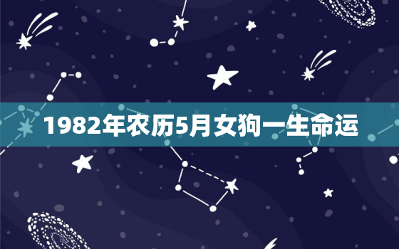 1982年农历5月女狗一生命运，1982年农历5月的狗是什么命