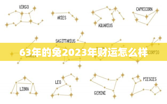 63年的兔2023年财运怎么样，63年兔明年运气如何