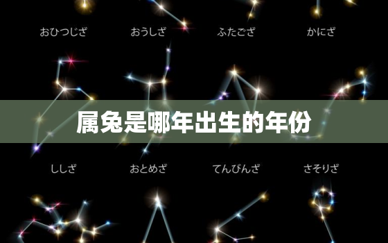 属兔是哪年出生的年份，属兔是哪一年出生的那一年的