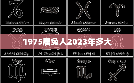 1975属兔人2023年多大，1975属兔2023年49岁以后运气