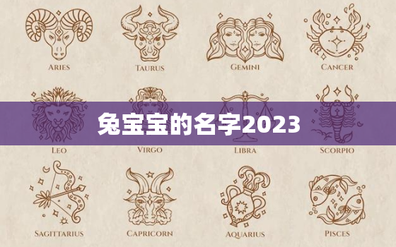 兔宝宝的名字2023，兔宝宝的名字大全