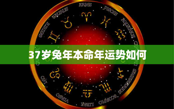 37岁兔年本命年运势如何，37岁本命年
的会不顺吗