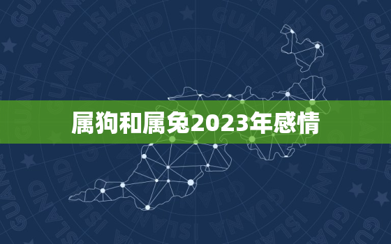 属狗和属兔2023年感情，属狗和属兔2020适合在一起吗