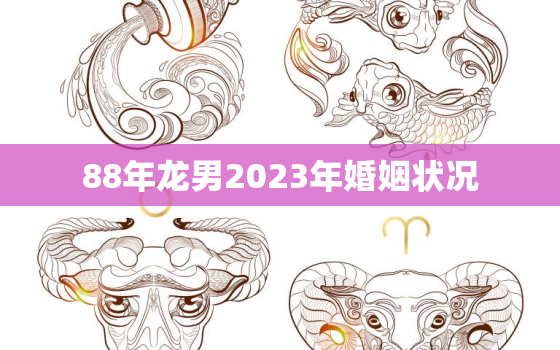 88年龙男2023年婚姻状况，88年属龙男2023年的运势及每月运势