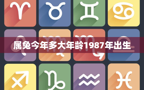 属兔今年多大年龄1987年出生，属兔今年多大年龄1987年出生的