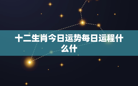 十二生肖今日运势每日运程什么什，十二生肖今日运势每日运程什么是