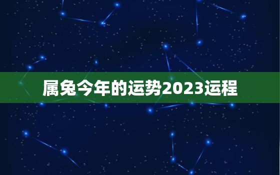 属兔今年的运势2023运程，属兔人今年运势2022年每月运势