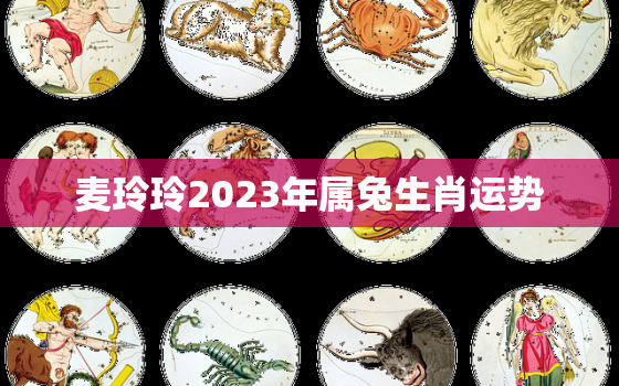 麦玲玲2023年属兔生肖运势，2021年麦玲玲属兔运势