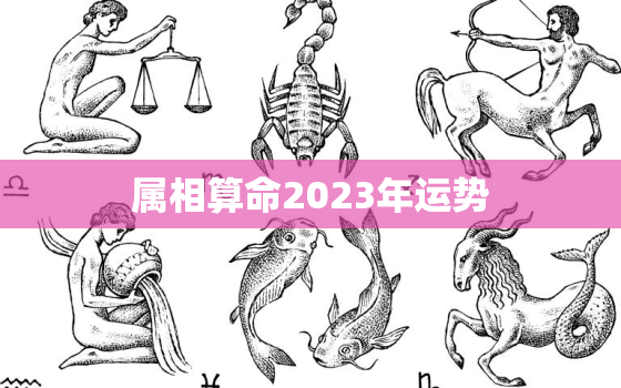 属相算命2023年运势，2023属相运势大解析