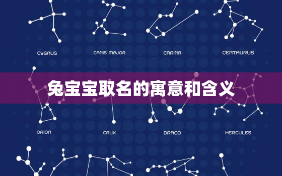 兔宝宝取名的寓意和含义，兔宝宝适合取什么字