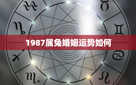 1987属兔婚姻运势如何，属兔1987年婚姻状况