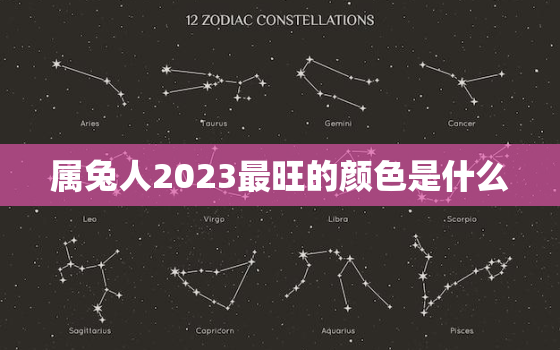 属兔人2023最旺的颜色是什么，属兔人2022年忌讳的颜色