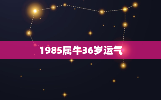 1985属牛36岁运气，1985属牛人运势