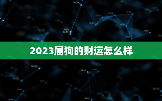 2023属狗的财运怎么样，2023年属狗的财运怎么样