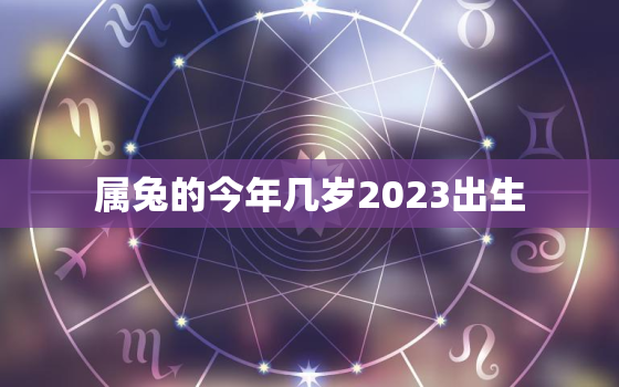 属兔的今年几岁2023出生，属兔的今年几岁2023出生的