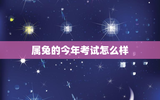 属兔的今年考试怎么样，属兔的2021年考学有希望吗