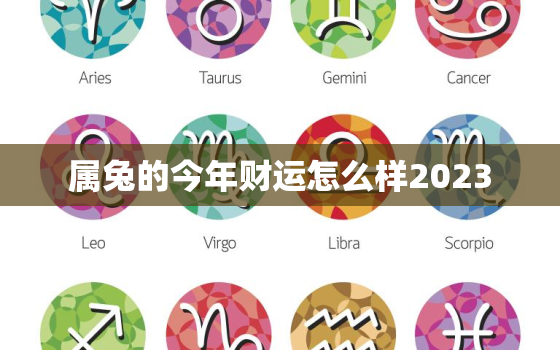 属兔的今年财运怎么样2023，属兔的今年财运怎么样2021