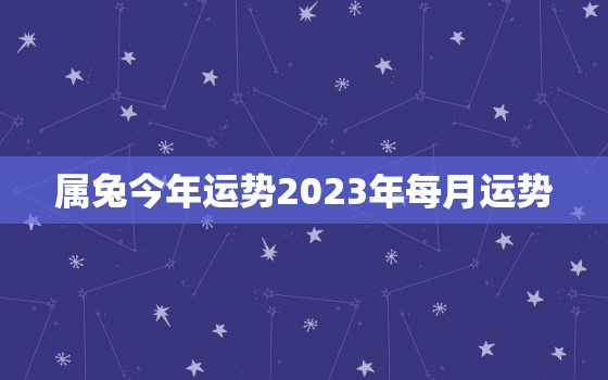 属兔今年运势2023年每月运势，属兔今年运势2023年每月运势详解