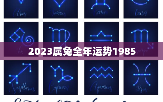 2023属兔全年运势1985，2023年属兔人运程