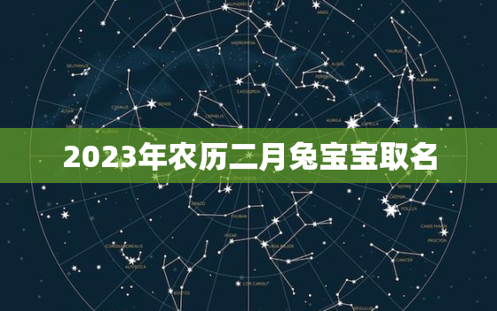 2023年农历二月兔宝宝取名，2023年二月出生的兔宝宝要几时
?