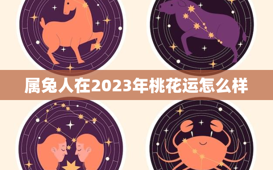 属兔人在2023年桃花运怎么样，属兔人2023年运势详解