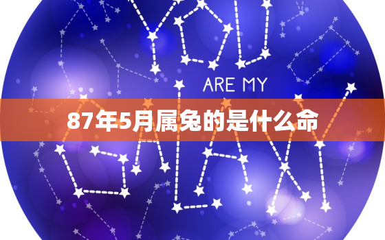 87年5月属兔的是什么命，87年5月的兔是什么命运